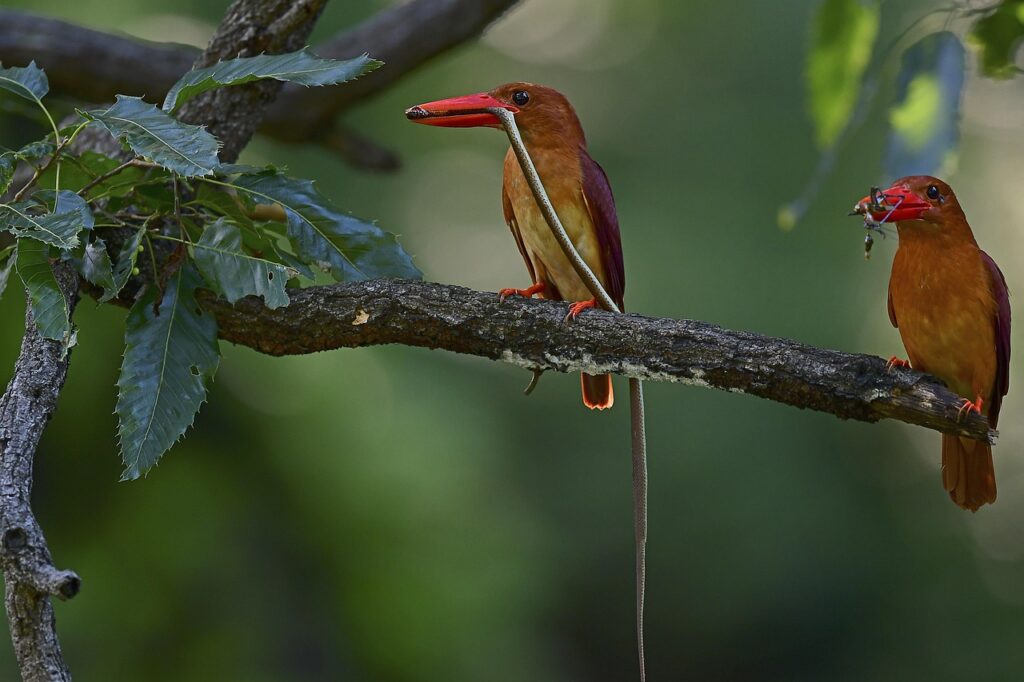 マッチングアプリの男女比はなぜそんなに偏るのか？