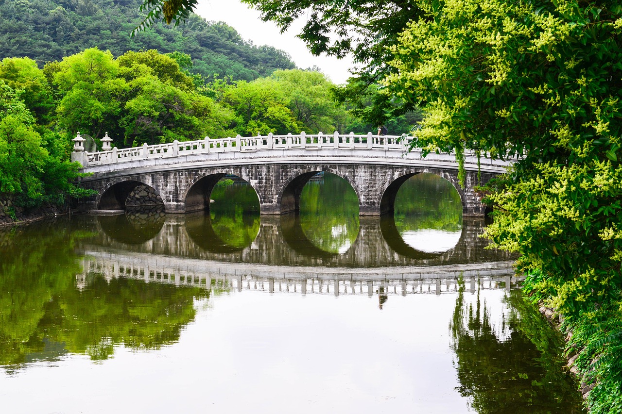 婚活アプリにおける宗教の違いと配慮は何ですか？