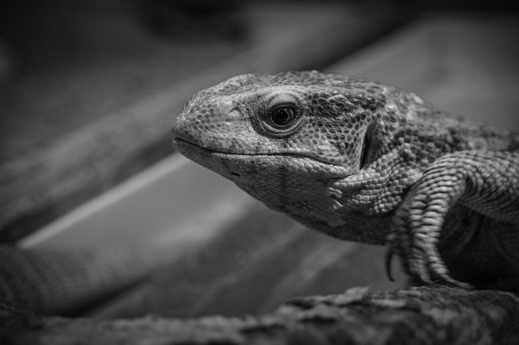 婚活アプリの真剣度比較はどのように行うべき？