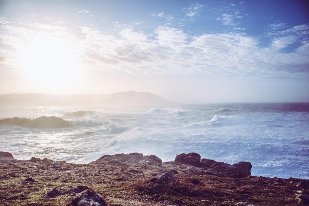 婚活アプリで真剣な会員が多いサービスはどれ？