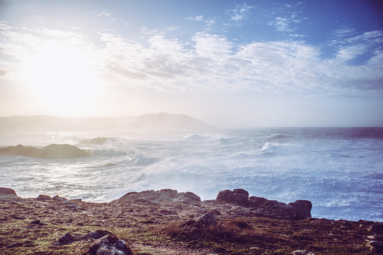 婚活アプリで真剣な会員が多いサービスはどれ？