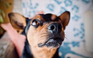 婚活アプリの勧誘に注意すべきポイントは？