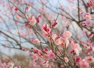 with婚活の真剣度を見極めるポイントは？