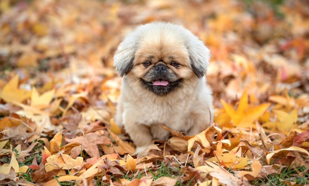 婚活アプリのランキングでおすすめの口コミは？