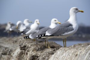 LINEが続くための効果的な方法は？