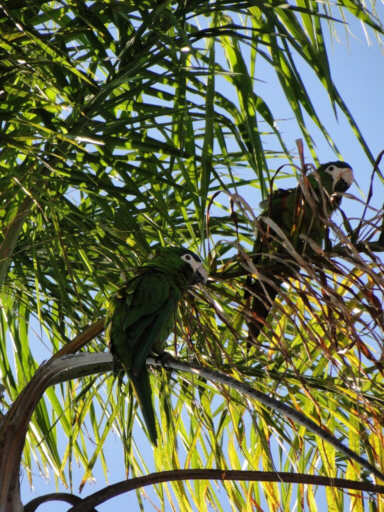 仮交際を円滑に進めるための方策とは？