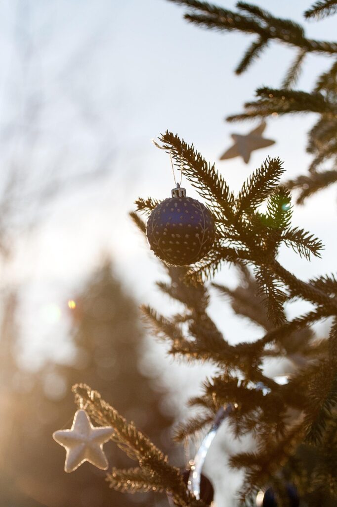 日本人限定の特別な体験を楽しむ方法は？