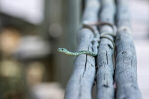 LINEを送るのに最適な時期はいつ？