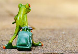 別れの原因を占いで解明する方法は？